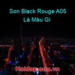 Son Black Rouge A05 Là Màu Gì
