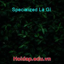 Specialized Là Gì