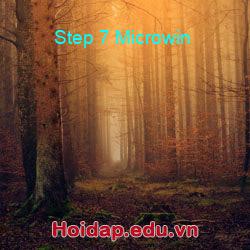 Step 7 Microwin