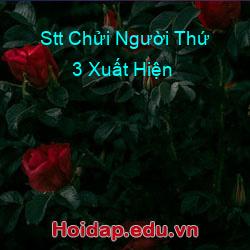 Stt Chửi Người Thứ 3 Xuất Hiện
