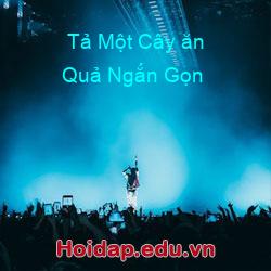 Tả Một Cây ăn Quả Ngắn Gọn