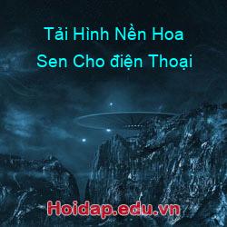 Tải Hình Nền Hoa Sen Cho điện Thoại