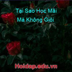 Tại Sao Học Mãi Mà Không Giỏi