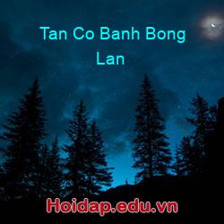 Tan Co Banh Bong Lan