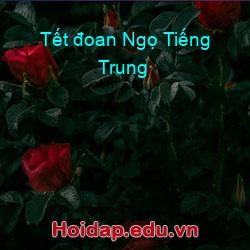 Tết đoan Ngọ Tiếng Trung