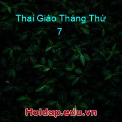 Thai Giáo Tháng Thứ 7