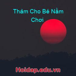 Thảm Cho Bé Nằm Chơi