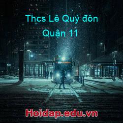 Thcs Lê Quý đôn Quận 11