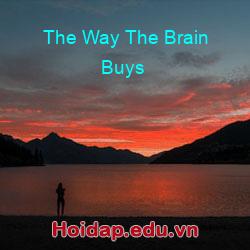 The Way The Brain Buys