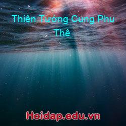 Thiên Tướng Cung Phu Thê