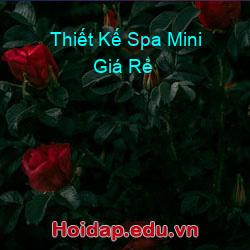 Thiết Kế Spa Mini Giá Rẻ