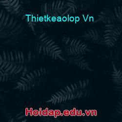 Thietkeaolop Vn