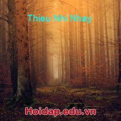 Thieu Nhi Nhay