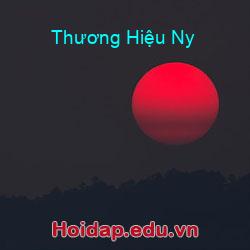 Thương Hiệu Ny