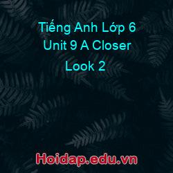 Tiếng Anh Lớp 6 Unit 9 A Closer Look 2