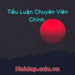 Tiểu Luận Chuyên Viên Chính