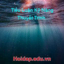 Tiểu Luận Kỹ Năng Thuyết Trình