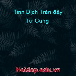 Tinh Dịch Tràn đầy Tử Cung
