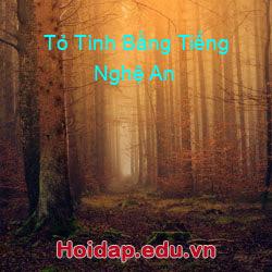 Tỏ Tình Bằng Tiếng Nghệ An