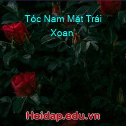 Tóc Nam Mặt Trái Xoan
