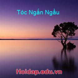 Tóc Ngắn Ngầu