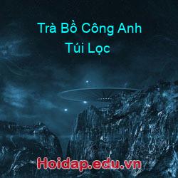 Trà Bồ Công Anh Túi Lọc