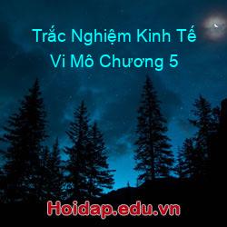 Trắc Nghiệm Kinh Tế Vi Mô Chương 5