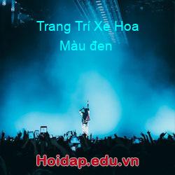 Trang Trí Xe Hoa Màu đen