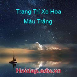 Trang Trí Xe Hoa Màu Trắng