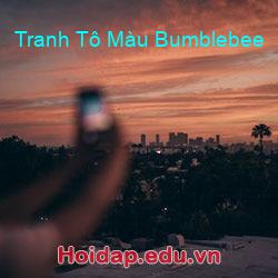 Tranh Tô Màu Bumblebee