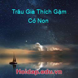 Trâu Già Thích Gặm Cỏ Non