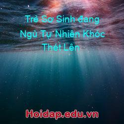 Trẻ Sơ Sinh đang Ngủ Tự Nhiên Khóc Thét Lên