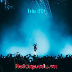 Trỉa đỗ