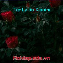 Trợ Lý ảo Xiaomi