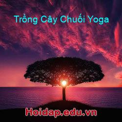 Trồng Cây Chuối Yoga