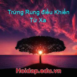 Trứng Rung điều Khiển Từ Xa