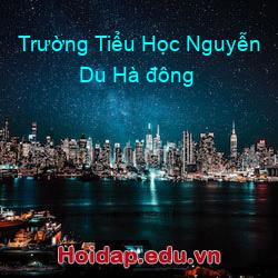 Trường Tiểu Học Nguyễn Du Hà đông