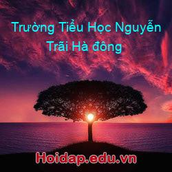 Trường Tiểu Học Nguyễn Trãi Hà đông
