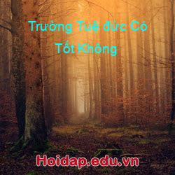 Trường Tuệ đức Có Tốt Không