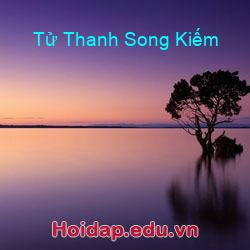 Tử Thanh Song Kiếm