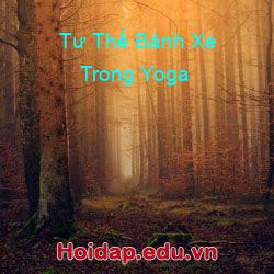 Tư Thế Bánh Xe Trong Yoga