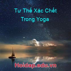 Tư Thế Xác Chết Trong Yoga