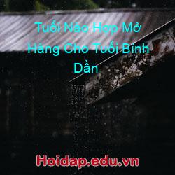 Tuổi Nào Hợp Mở Hàng Cho Tuổi Bính Dần