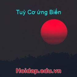 Tuỳ Cơ ứng Biến