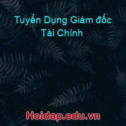 Tuyển Dụng Giám đốc Tài Chính