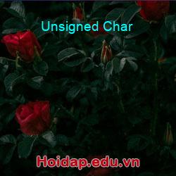 Unsigned Char