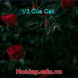 V3 Của Call