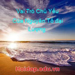 Vai Trò Chủ Yếu Của Nguyên Tố đại Lượng