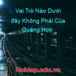 Vai Trò Nào Dưới đây Không Phải Của Quang Hợp