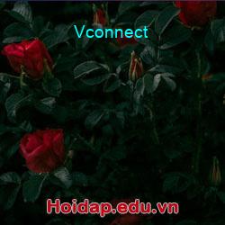 Vconnect